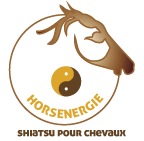 Logo Horsenergie
